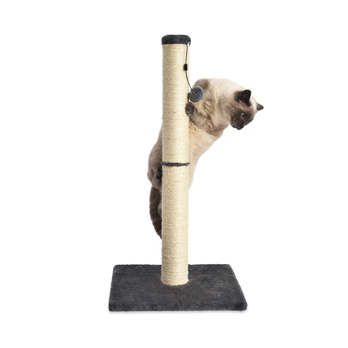 Cat Scratching Post with Dangling Ball Toy, Grey C870841