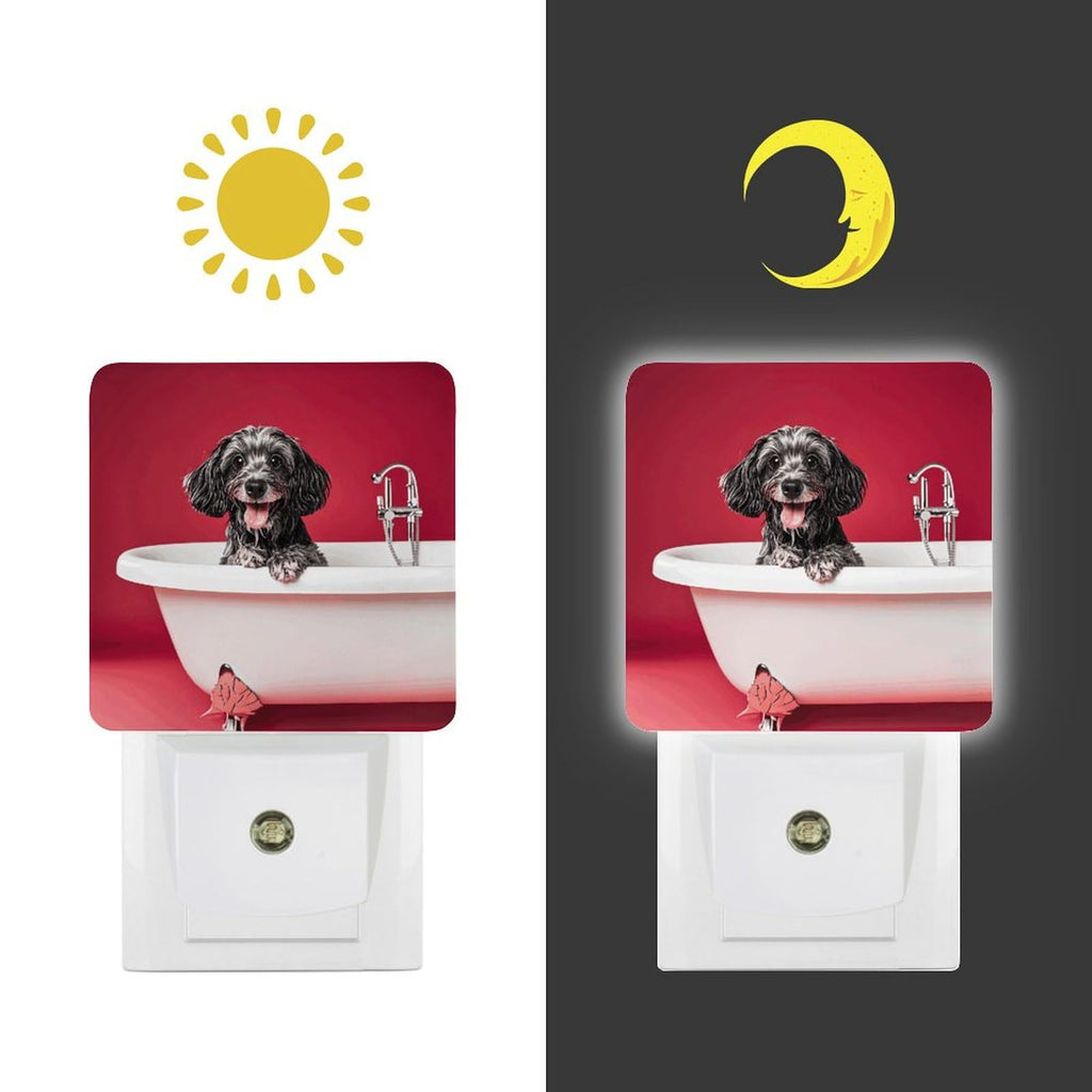 LED Night Lights Plug Into Wall with Dusk to Dawn Sensor J577