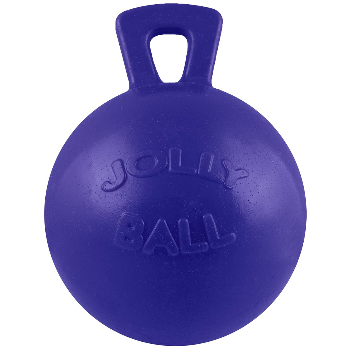 Dog 10-Inch Tug-n-Toss, Blue F1561