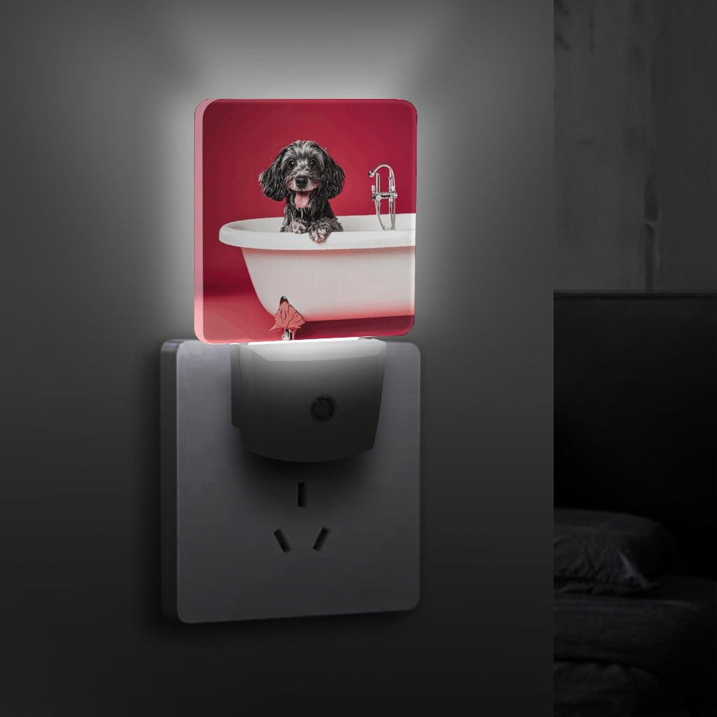 LED Night Lights Plug Into Wall with Dusk to Dawn Sensor J577