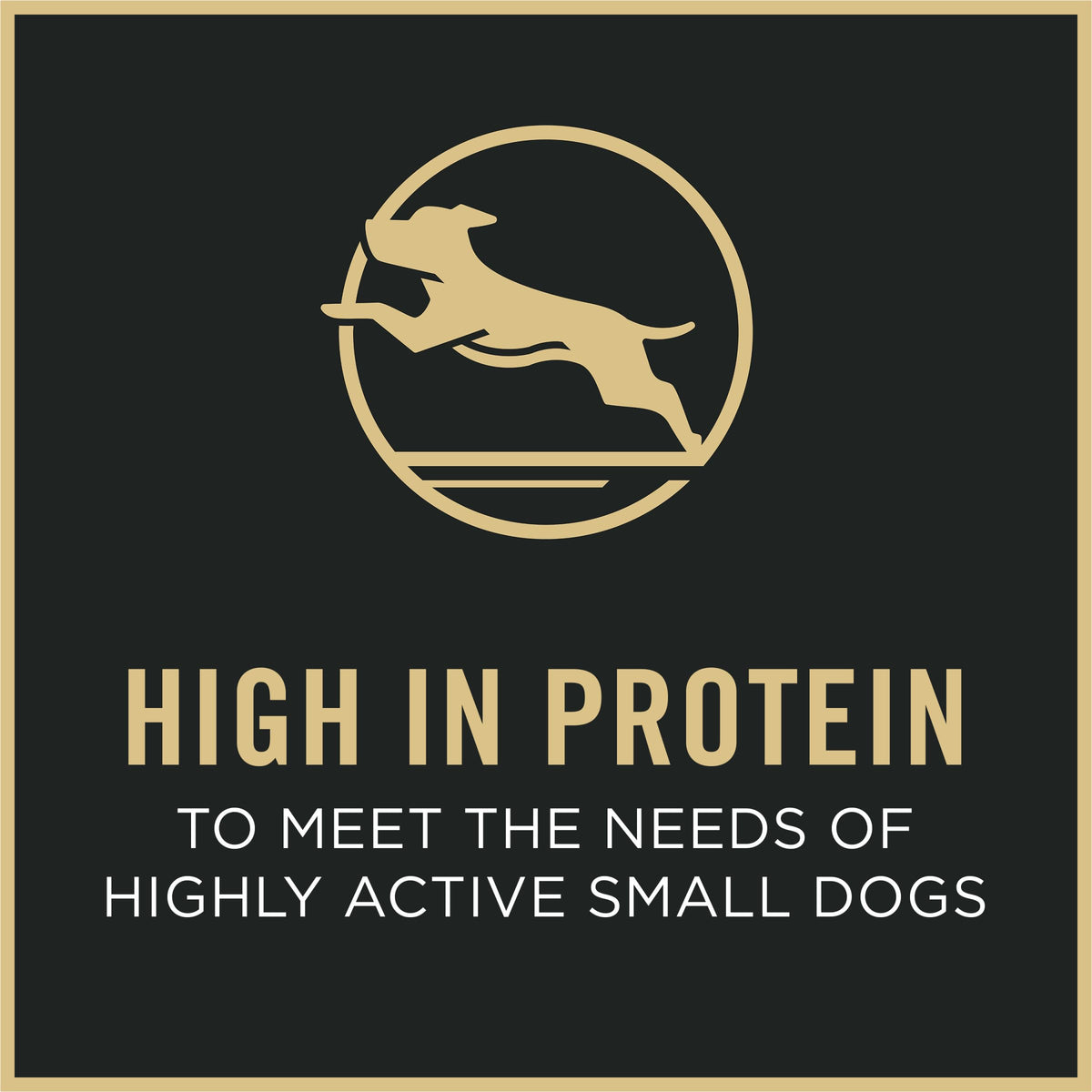 Chicken & Rice Small Breed Dry Dog Food B67980