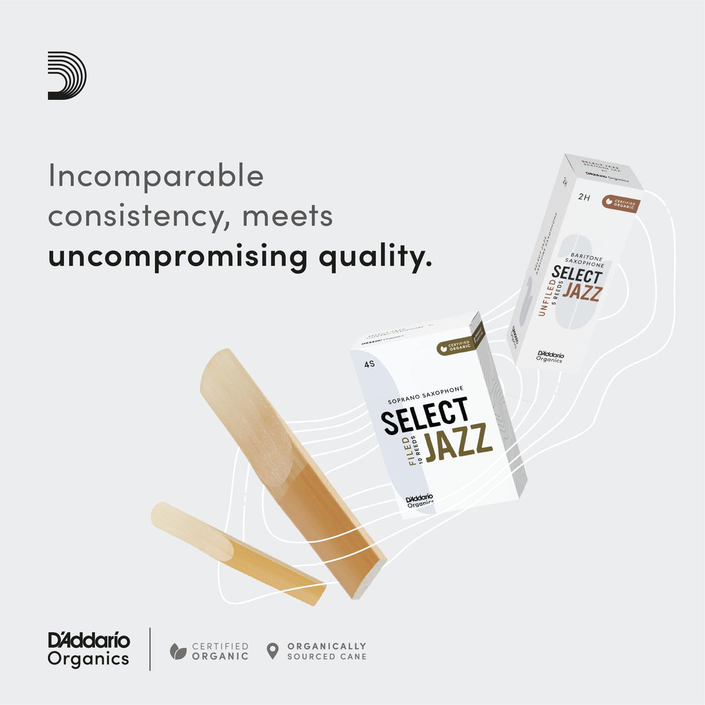 Alto Saxophone Reeds 3 Soft 10 Pack H7629