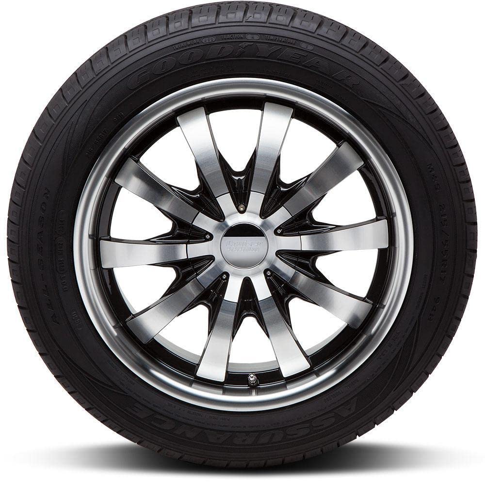 All-Season 225/60R17 99T Tire P691