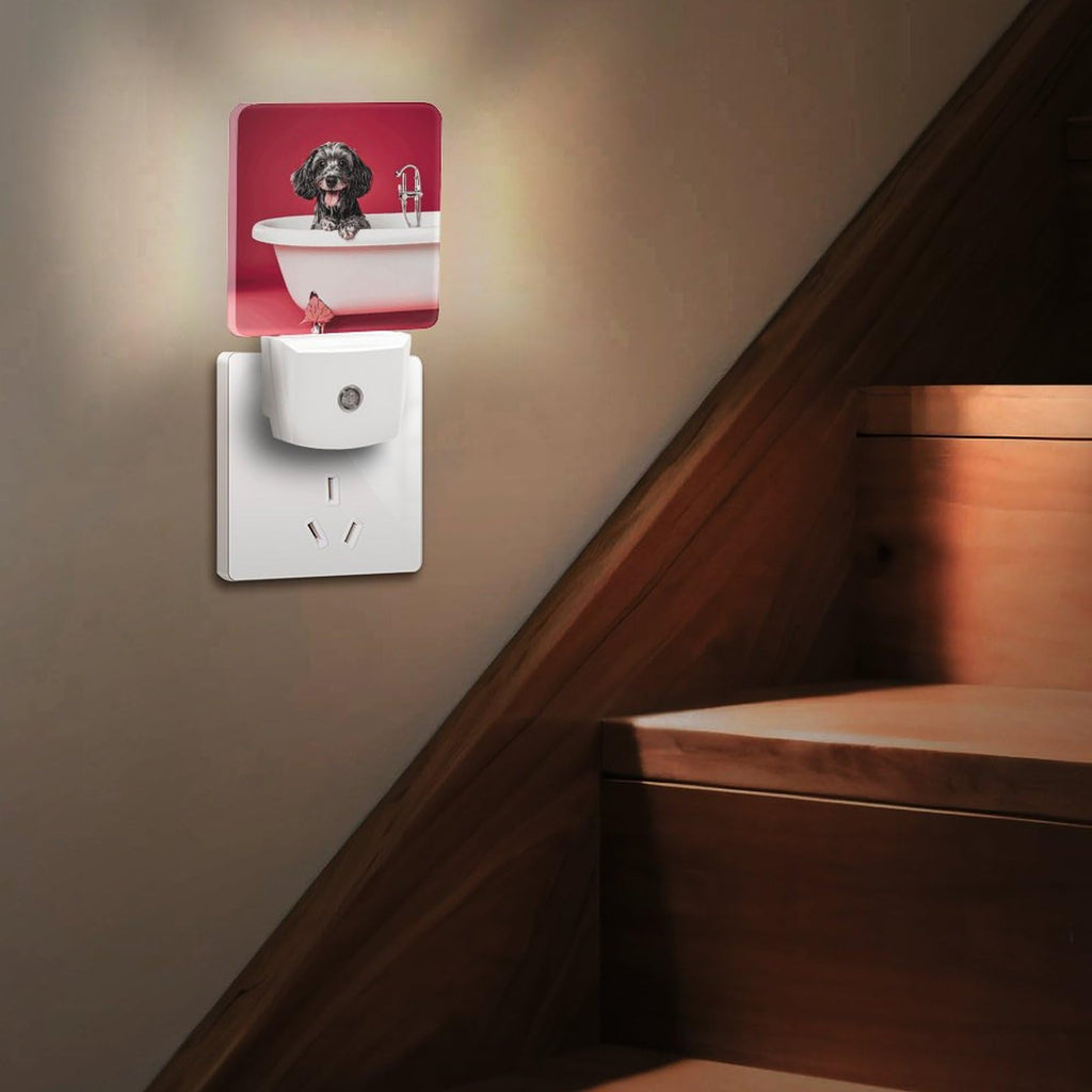 LED Night Lights Plug Into Wall with Dusk to Dawn Sensor J577