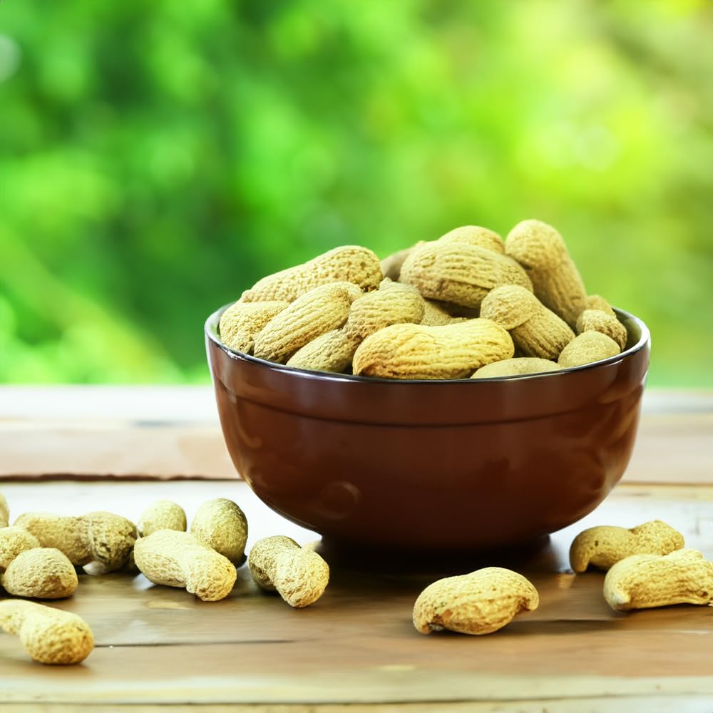 Peanuts In Shell 2 lbs V81250