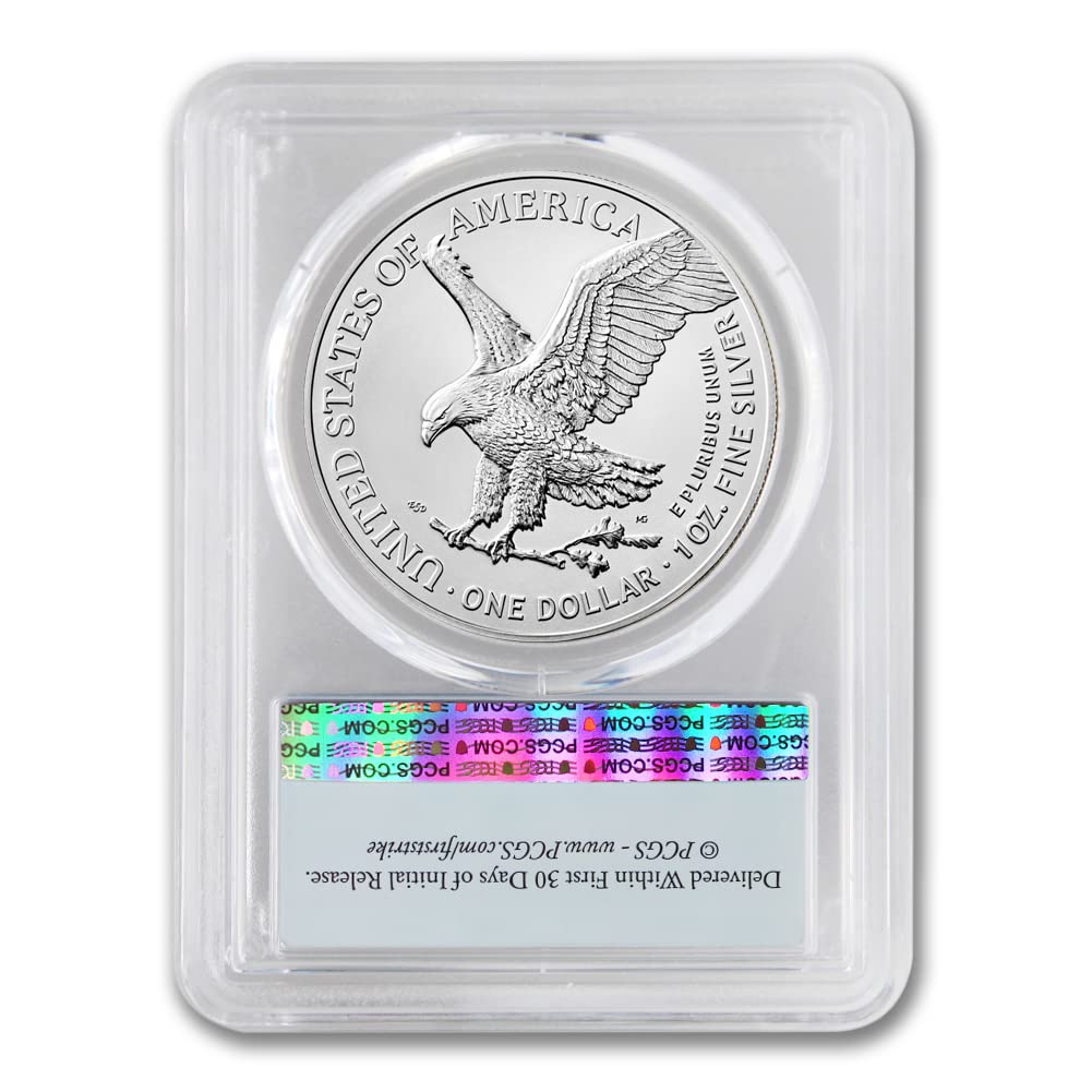 1 oz American Silver Eagle Coin F22590