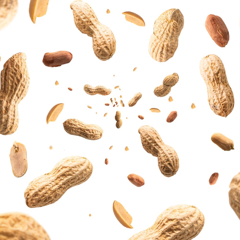 Peanuts In Shell 2 lbs V81250