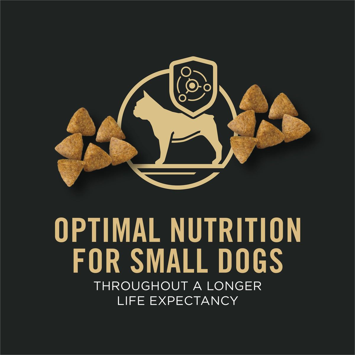 Chicken & Rice Small Breed Dry Dog Food B67980