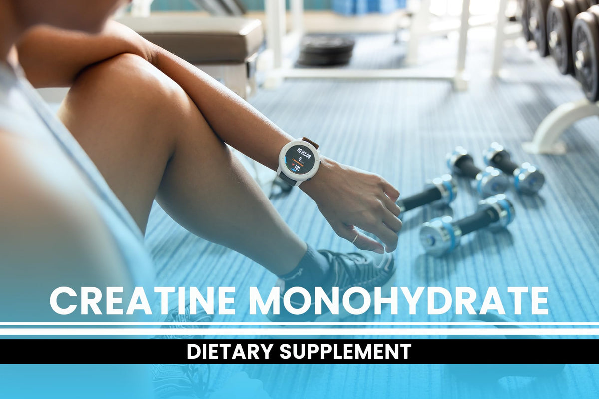 Creatine Monohydrate 365 Capsules L496