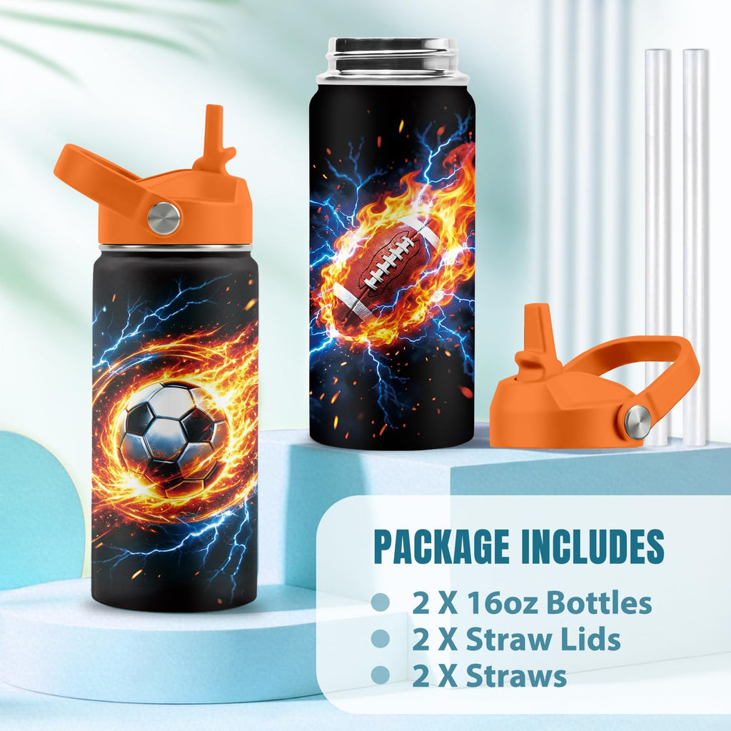 16 oz Stainless Steel Insulated Water Bottle with Straw Lid, 2 Pack G523