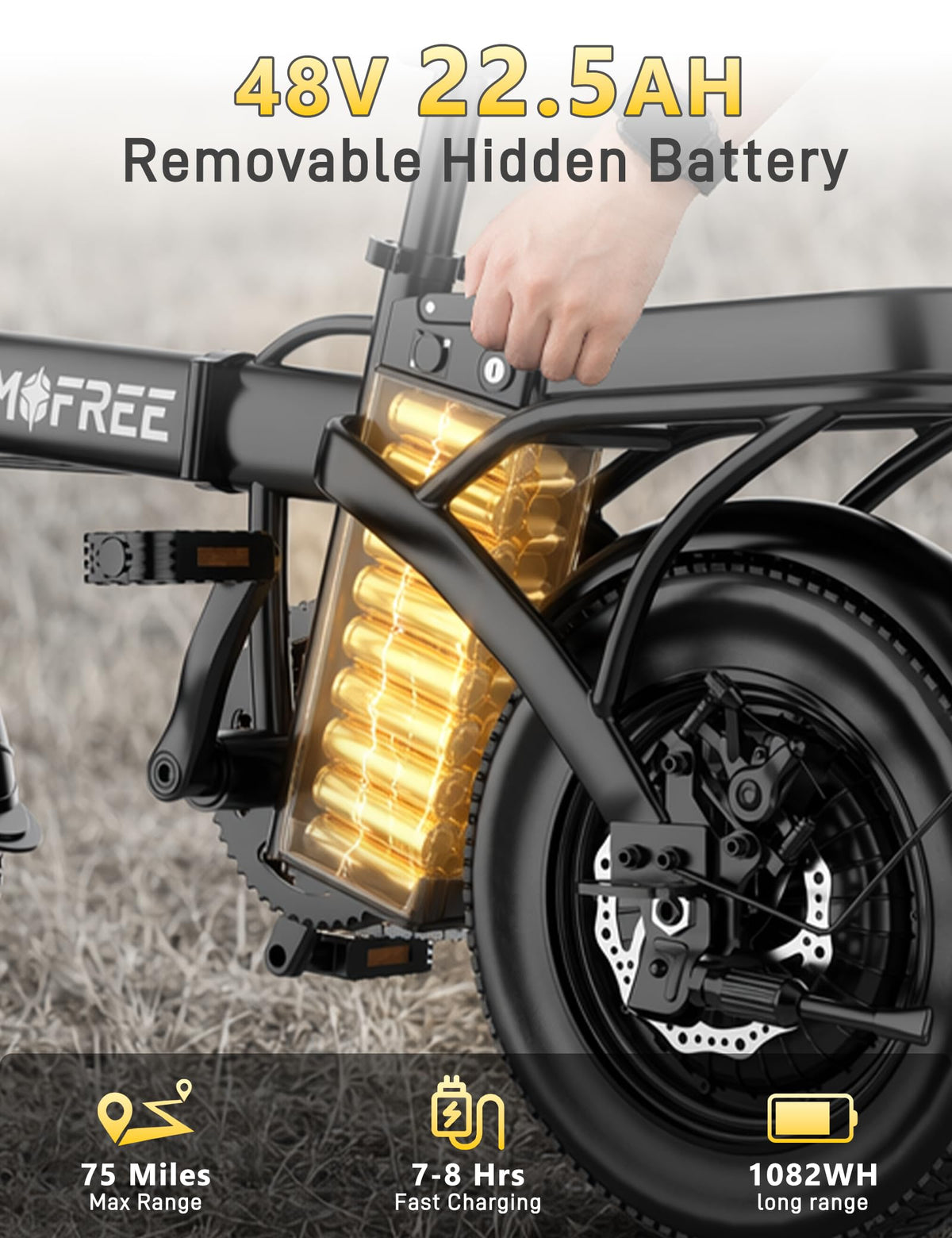 Folding Electric Bike 48V 22.5Ah 750W Fat Tire D6064