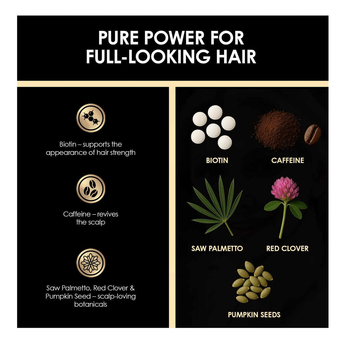 Biotin Caffeine Shampoo and Conditioner Set E3809