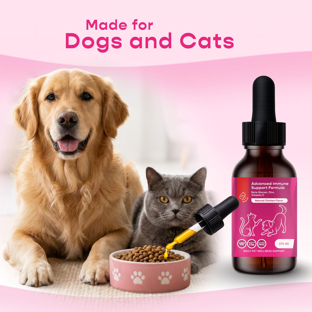 Liquid Pet Supplement with Astragalus, Elderberry, Echinacea & Beta Glucan, 2 fl oz H61046