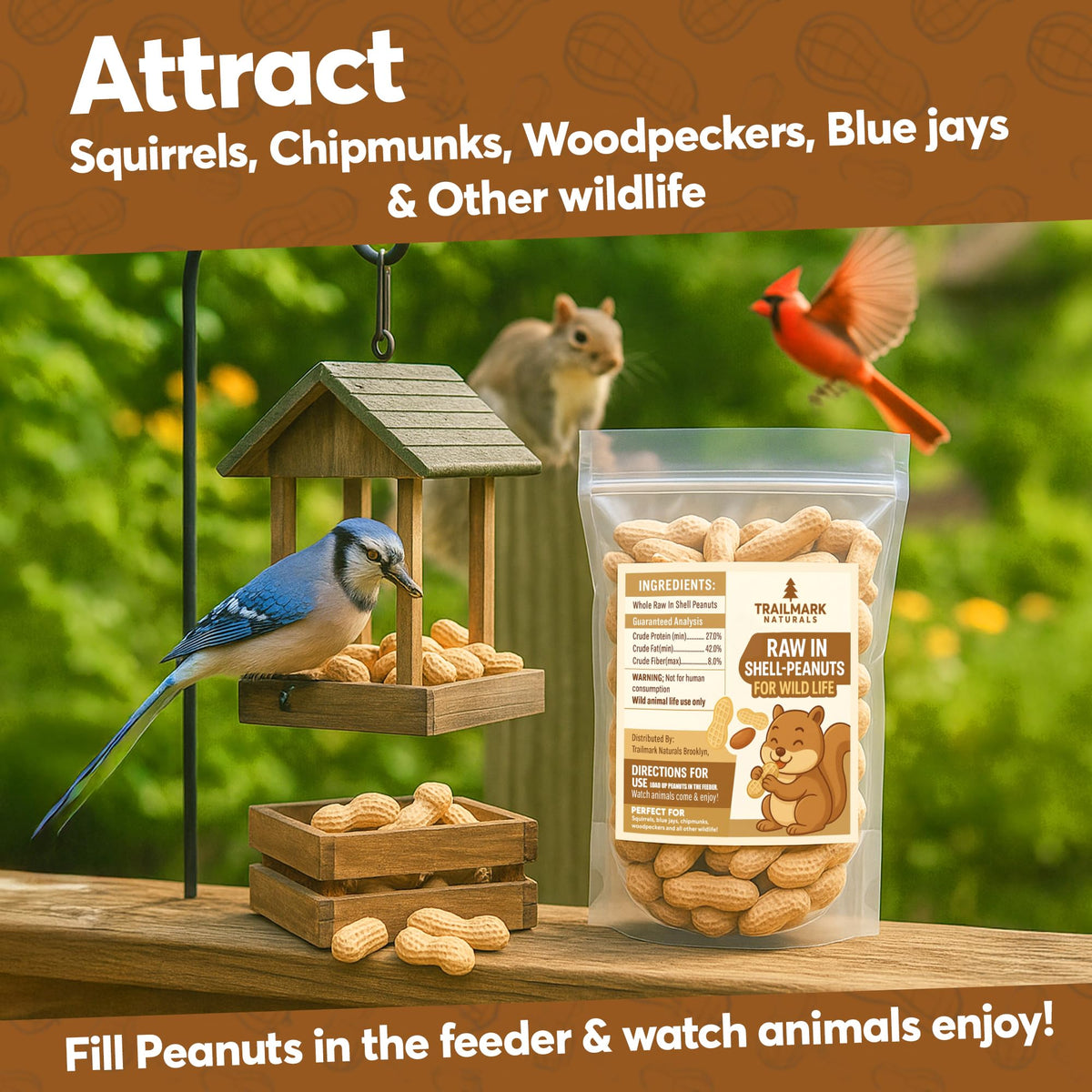 Raw Peanuts in Shell for Squirrels and Birds F19714