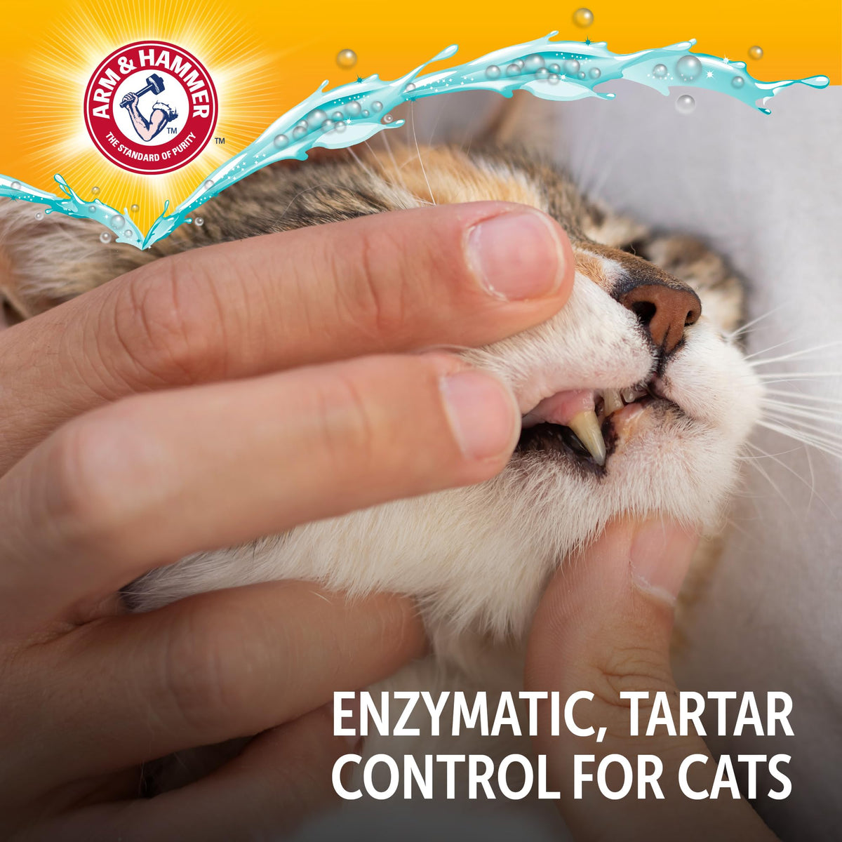 Tuna Flavor 2.5 Oz Cat Dental Kit Y20410