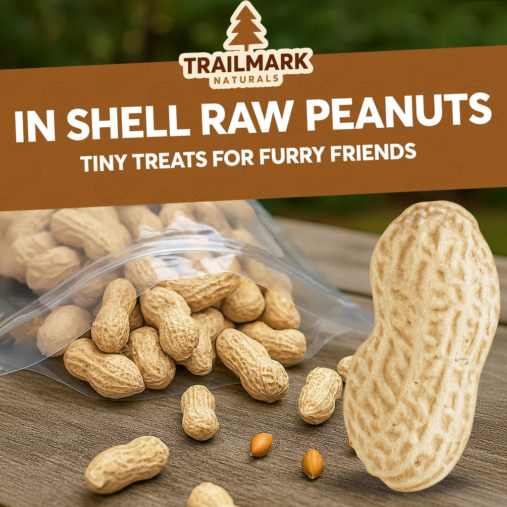 Raw Peanuts in Shell for Squirrels and Birds F19714