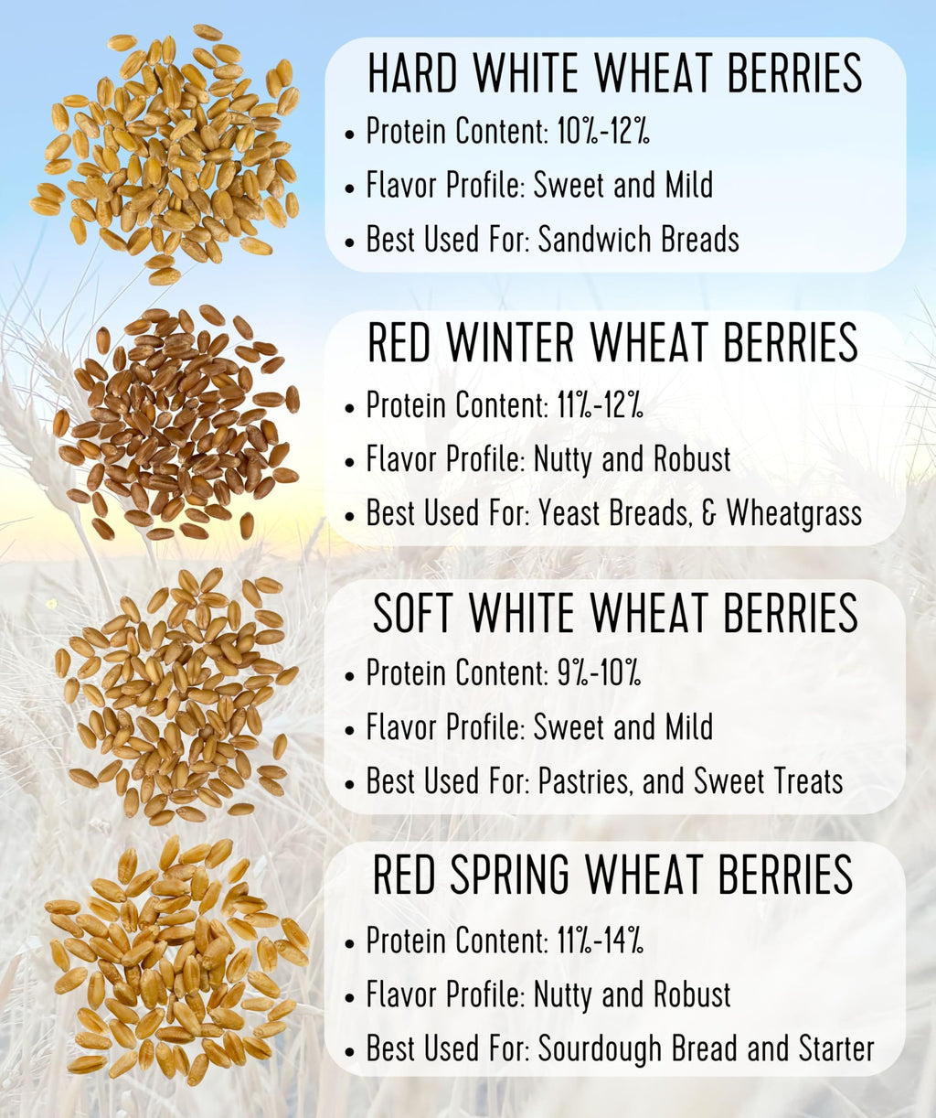 Soft White Wheat Berries 5 lbs Z259