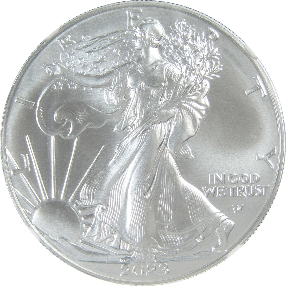 2023 American Silver Eagle Uncirculated $1 Coin R8784