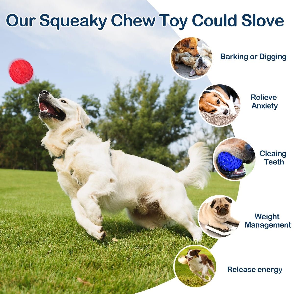 2 Pack Rubber Dog Chew Balls T172534