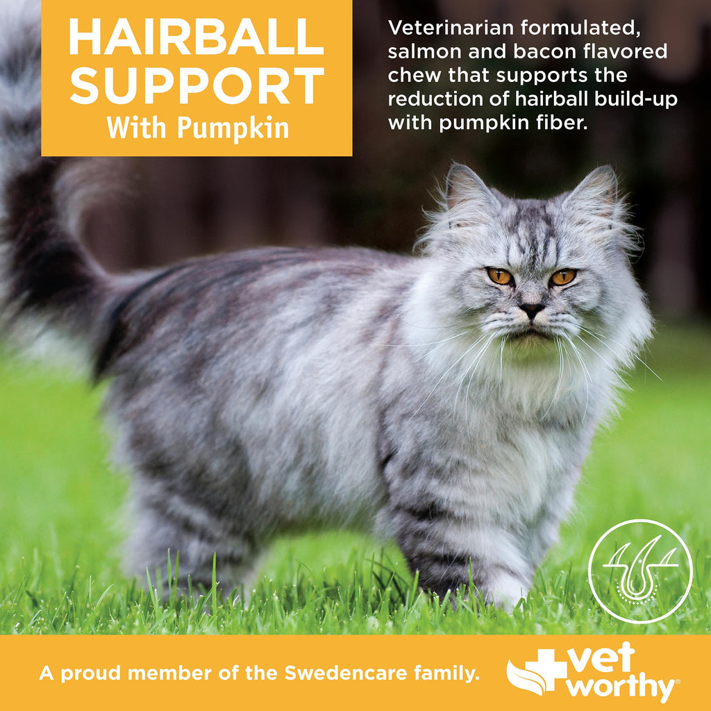 Hairball Support for Cats 60ct L973111