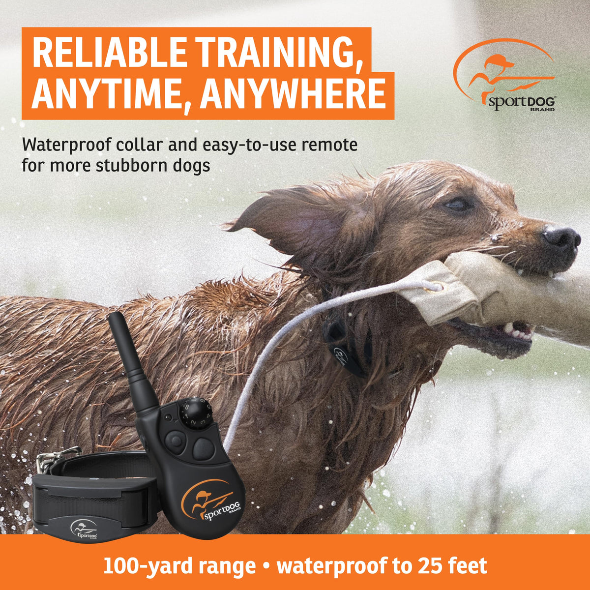 Remote Trainer 100-Yard Range M563